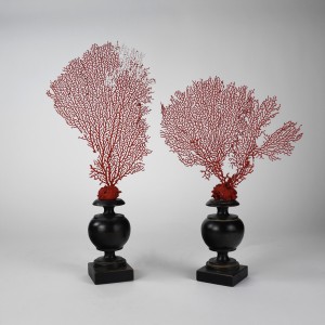 Pair of Red Coral Pieces on Dark Wooden Bases (T6440)