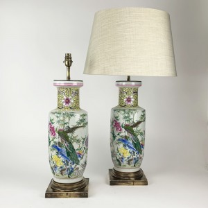 Pair of Chinese Lamps on Antique Brass Bases (T6529)